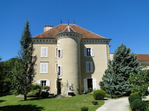 Chateau de Blagneux